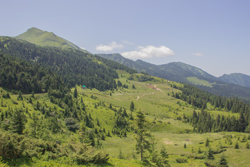 Obraz premium Trekking in the Carpathians, Hike to the border between Ukraine and Romania from Pop Ivan Marmarassky to Pop Ivan Chernogorsky.
