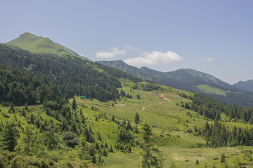 Fototapeta premium Trekking in the Carpathians, Hike to the border between Ukraine and Romania from Pop Ivan Marmarassky to Pop Ivan Chernogorsky.