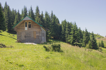 Trekking in the Carpathians, Hike to the border between Ukraine and Romania from Pop Ivan Marmarassky to Pop Ivan Chernogorsky.