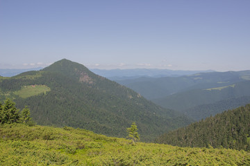 Trekking in the Carpathians, Hike to the border between Ukraine and Romania from Pop Ivan Marmarassky to Pop Ivan Chernogorsky.