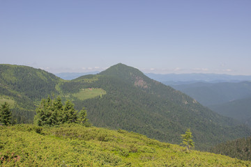 Fototapeta premium Trekking in the Carpathians, Hike to the border between Ukraine and Romania from Pop Ivan Marmarassky to Pop Ivan Chernogorsky.