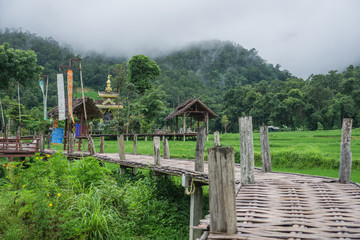A Beautiful cloudy day around the Bamboo Bridge over the Rice Fields in Pai , North of Thailand. This magical place its a place that you must visit ! 