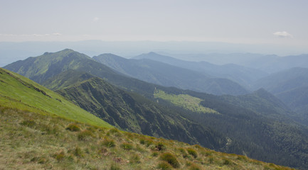 Trekking in the Carpathians, Hike to the border between Ukraine and Romania from Pop Ivan Marmarassky to Pop Ivan Chernogorsky.