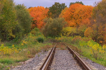 Fototapeta na wymiar Railway or tramway track in a beautiful autumn park fog. dampness, bright warm autumn colors