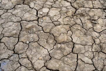 Dry cracked soil ground texture
