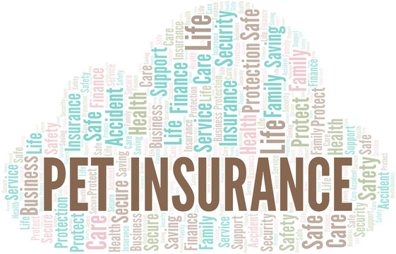 Pet Insurance Word Cloud Vector Made With Text Only.