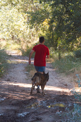 runner running across the field with his dog