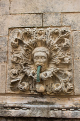 lion head knocker on an old door