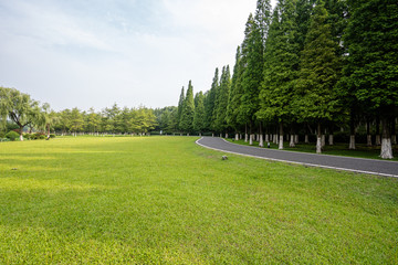 road in park