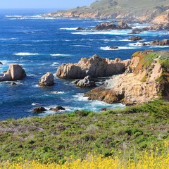 California Pacific coast