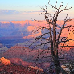 Grand Canyon sunset