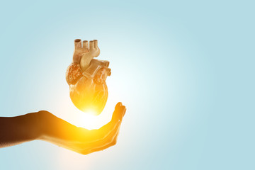 Woman`s hand showing anatomical heart model. Mixed media.