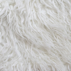 Close up white fluffy fur texture background. Square crop, top view