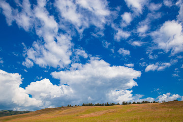 Blue sky with white clouds, fields and meadows with green grass, on the background of mountains. Composition of nature. Rural summer landscape.