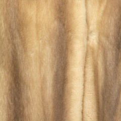 Texture of natural brown and beige fur with beautiful folds