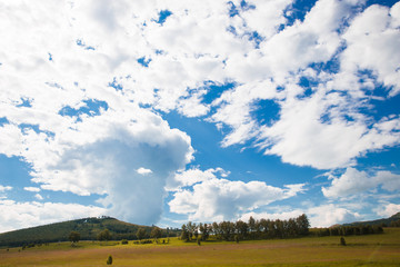 Blue sky with white clouds, fields and meadows with green grass, on the background of mountains. Composition of nature. Rural summer landscape.