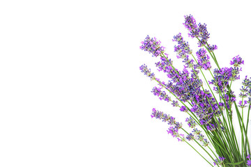 Naklejka premium Wzór kwiatów lawendy na białym tle. Leżał na płasko, widok z góry, miejsce na kopię. Selektywna ostrość.