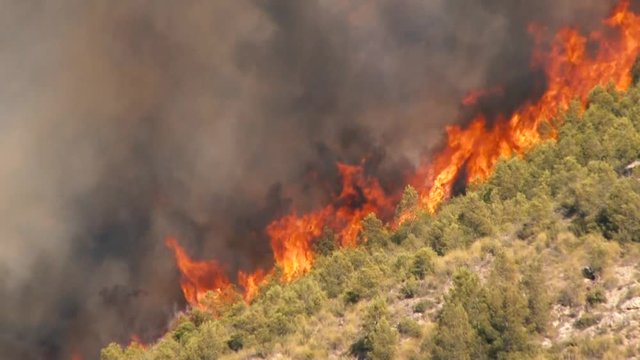 Static close-up shot of a natural disaster blazing wildfire on a hill covered with black dense smoke