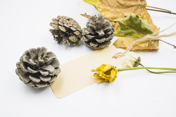 Cones with dried flowers