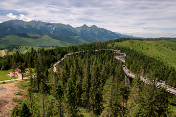 Fototapeta na wymiar The treetop walk Bachledka in High Tatra mountains