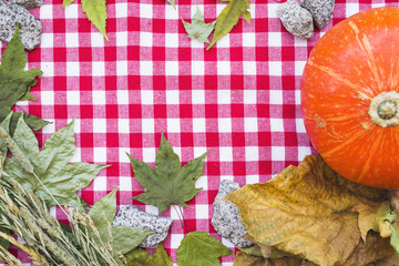Fall composition with dried leaves on checkered tablecloth