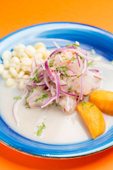 Seafood ceviche closeup, typical dish from Peru