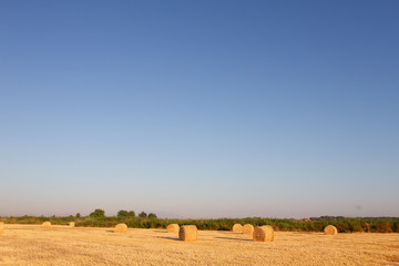 Fototapeta na wymiar bales of straw in wheat field