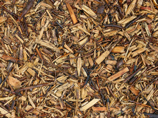 Sawdust, wood pieces. Background.