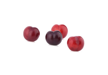 red cherry plum isolated on white background