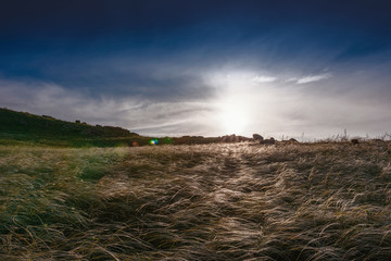 Scenery background Crimea- vacation destinations. Kerch- steppe zone © Digital Photo