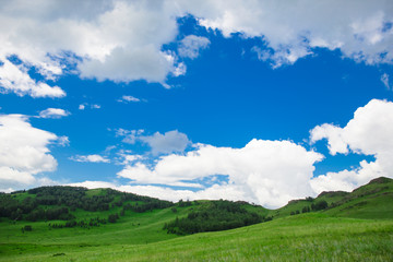 Fototapeta na wymiar Blue sky with white clouds, fields and meadows with green grass, on the background of mountains. Composition of nature. Rural summer landscape.