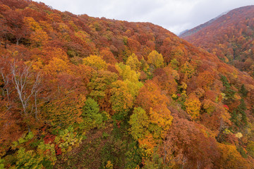 Fototapeta premium Jogakura valley in beautiful autumn season, Hakkoda, Japan.