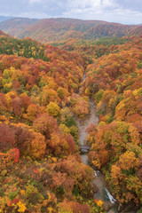 Jogakura valley in beautiful autumn season, Hakkoda, Japan.