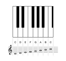 C major scale, one octave on staff and keyboard keys. Octave shown on keyboard keys and on a five-line staff with treble clef and whole notes. Most common key signature in music. Illustration. Vector. - obrazy, fototapety, plakaty