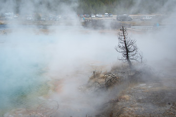 Misty landscape with tourists in the background in Yellowstone Nation Park