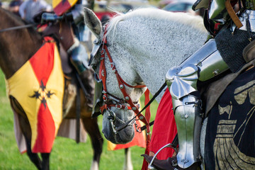 Fototapeta na wymiar A medieval knight sitting on a horse wearing shining armour