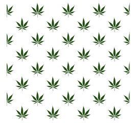 Cannabis or Marijuana pattern isolated on white background