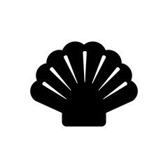 Muschel und Hintergrund