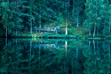 Sweden lake with Trees and reflection