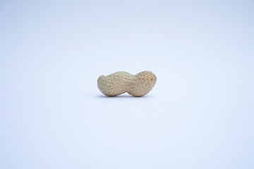 un seule arachide sur fond blanc