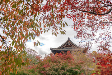 古都京都 東寺の秋景色