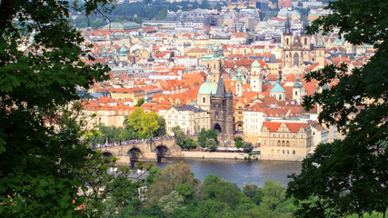 Prague in natural frame made from leaves - Czech Republic