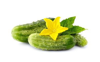 Fresh green cucumber with leaf and flower natural vegetables organic food isolated on white background.