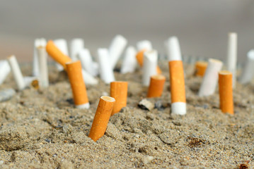 Cigarette butts stuck in the sand.