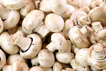 Heap of champignons close-up.