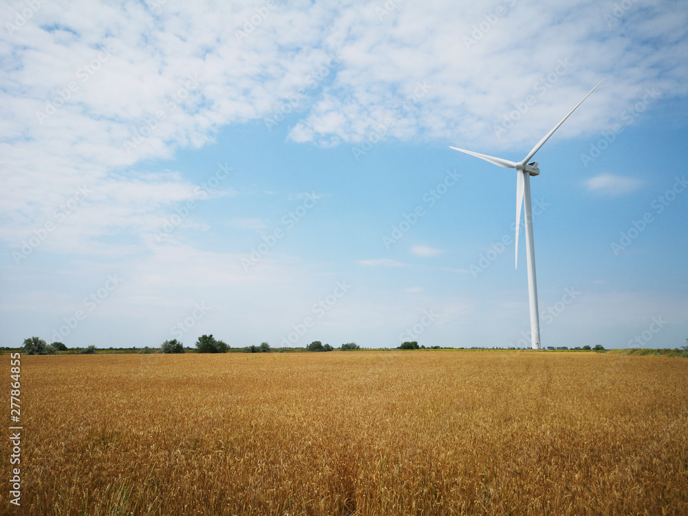 Wall mural windmills on one of the wheat fields of ukraine. energy saving concept