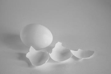 Black and white still life with whole egg and eggshell