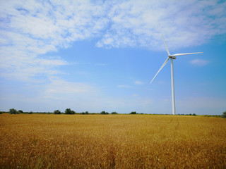Windmills on one of the wheat fields of Ukraine. Energy saving concept