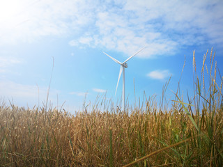 Windmills on one of the wheat fields of Ukraine. Energy saving concept