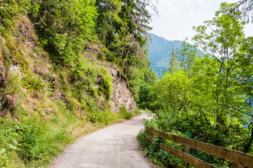 Fototapeta na wymiar Dorf Tirol, Tirolerweg, Tiroler Kreuz, Wald, Waldweg, Wanderweg, Vinschgau, Südtirol, Sommer, Italien